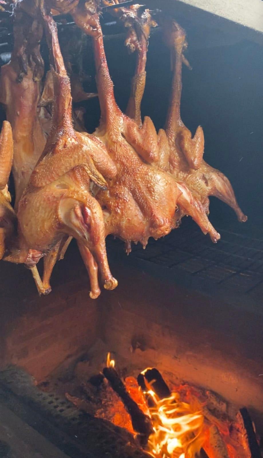 Old Layer Chicken